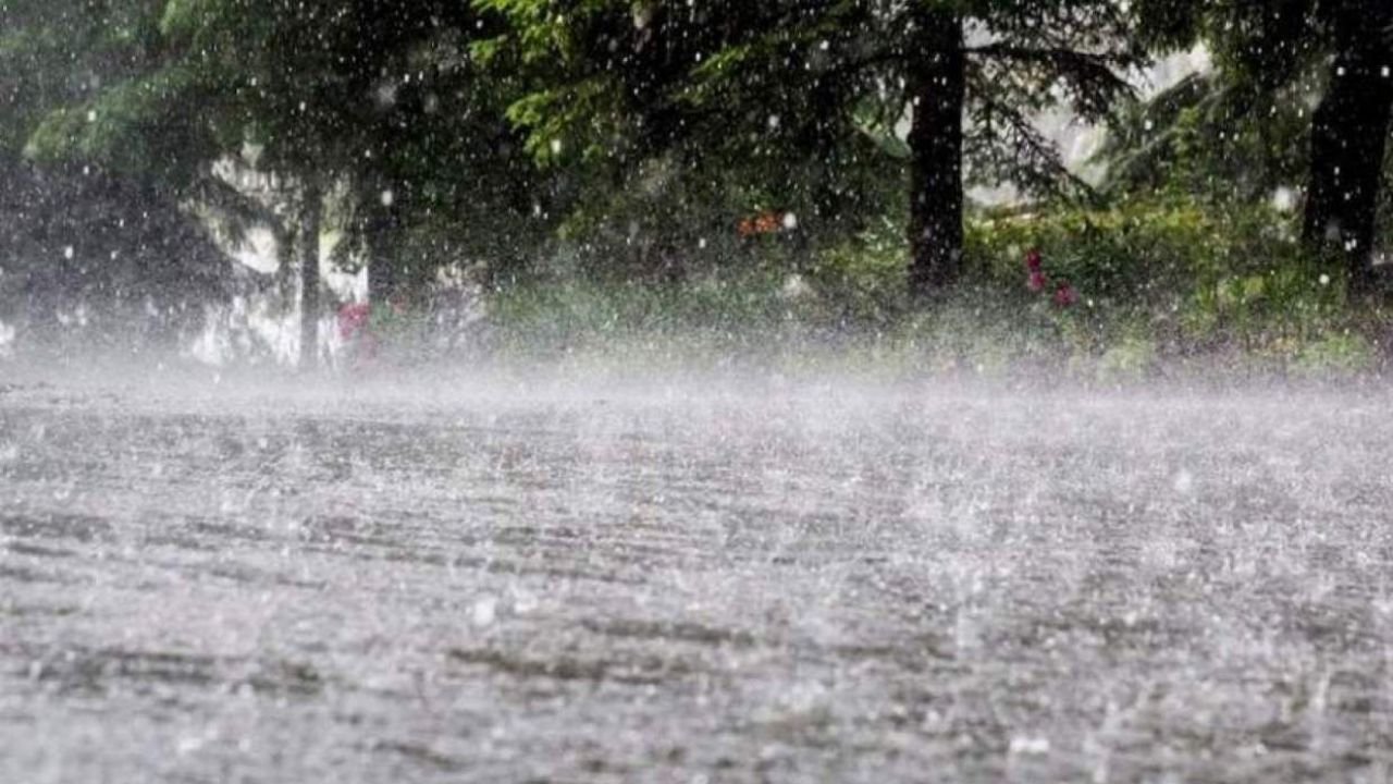 ২৪ ঘণ্টায় অতি ভারি বৃষ্টির শঙ্কা, ১৪ জেলায় ঝড়ো হাওয়ার সতর্কবার্তা