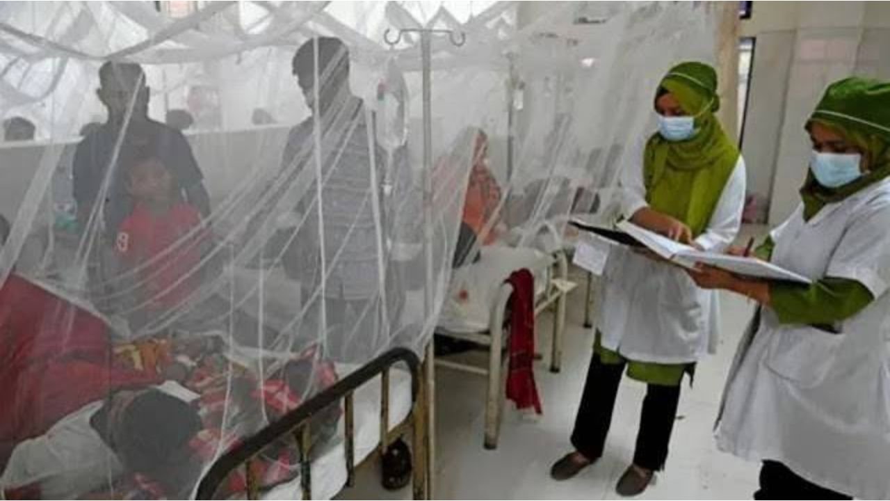 ডেঙ্গুতে আরও ৩ জনের মৃত্যু, ২৪ ঘণ্টায় হাসপাতালে ভর্তি ৫৩৪