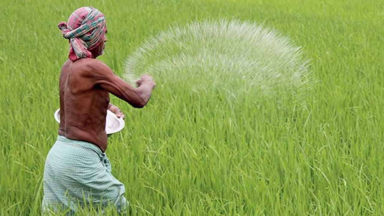 দেশের ৯৫ শতাংশ কৃষক সুষম সার ব্যবহার করেন না, মাটির উর্বরতা নিয়ে বিশ্বব্যাংকের সতর্কবার্তা
