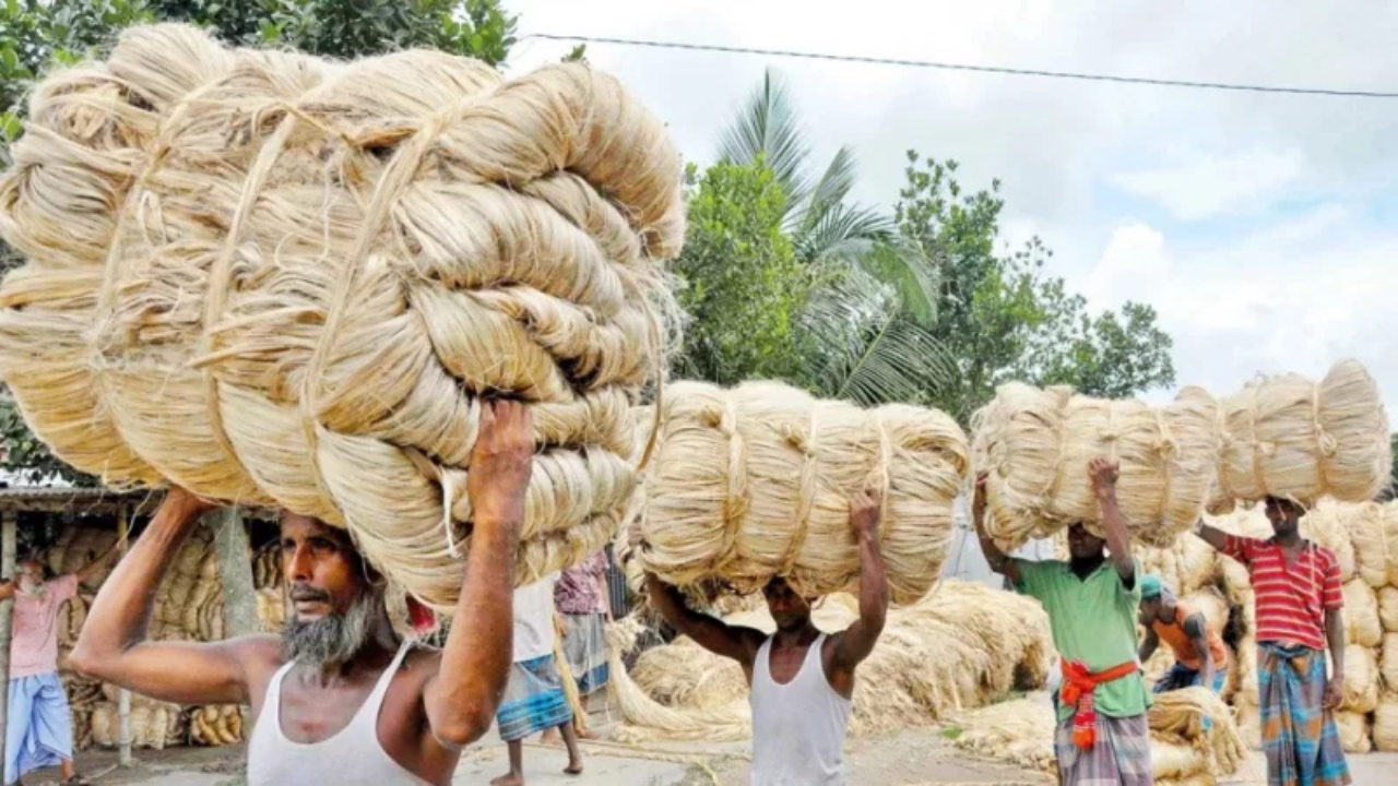 সস্তা সিনথেটিক তন্তুর চাপে বিশ্ববাজারে প্রতিযোগিতা হারাচ্ছে পাটপণ্য: সংসদে বস্ত্র ও পাটমন্ত্রী