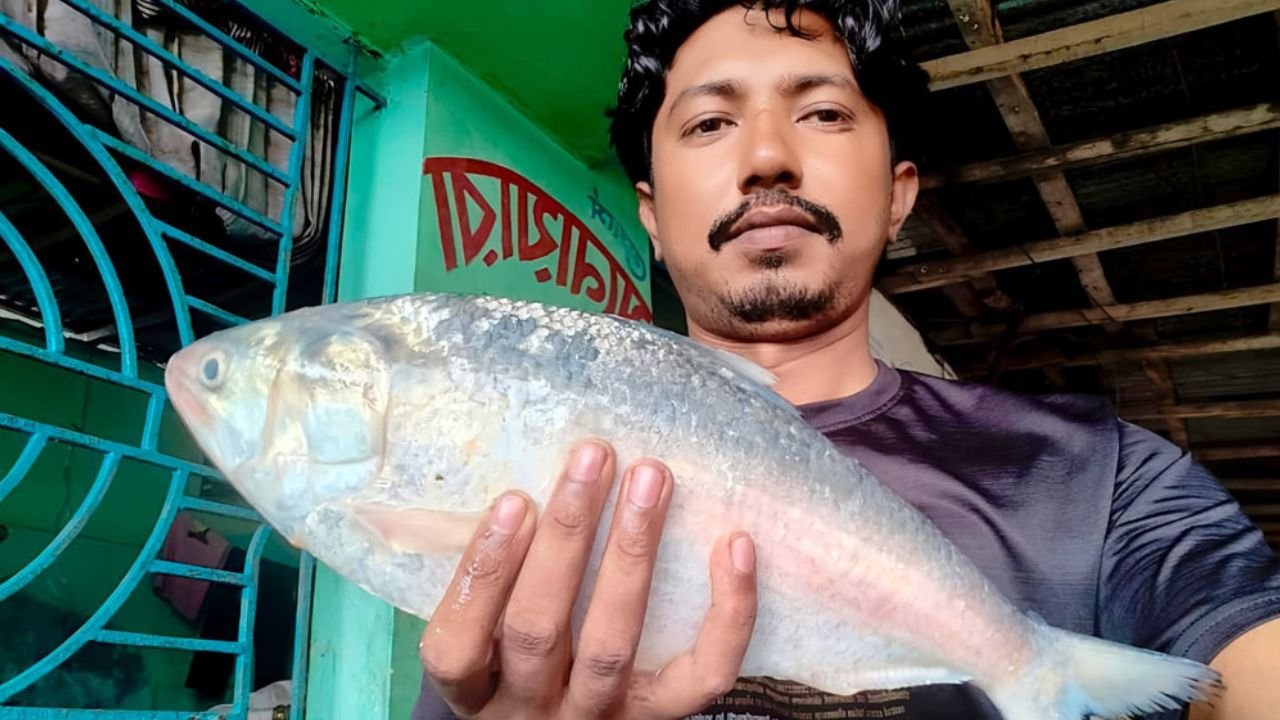 কুয়াকাটা উপকূলে ধরা ২ কেজি ১০০ গ্রামের ইলিশ বিক্রি হলো ৬ হাজার ৮২৫ টাকায়