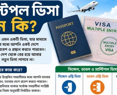 মাল্টিপল ভিসা মানে কি