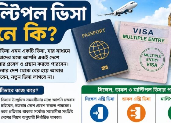 মাল্টিপল ভিসা মানে কি