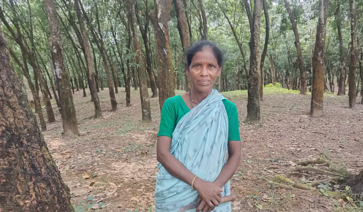 ২৬ বছর ধরে রাবারবাগানে কাজ, টুনির স্বপ্ন ছেলে হবে অন্যরকম