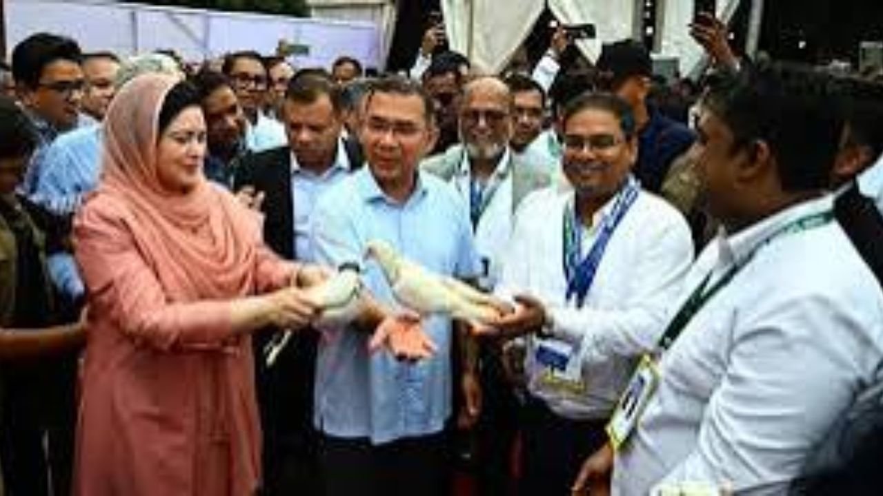 চিকিৎসক সমাবেশের উদ্বোধন করলেন প্রধানমন্ত্রী তারেক রহমান