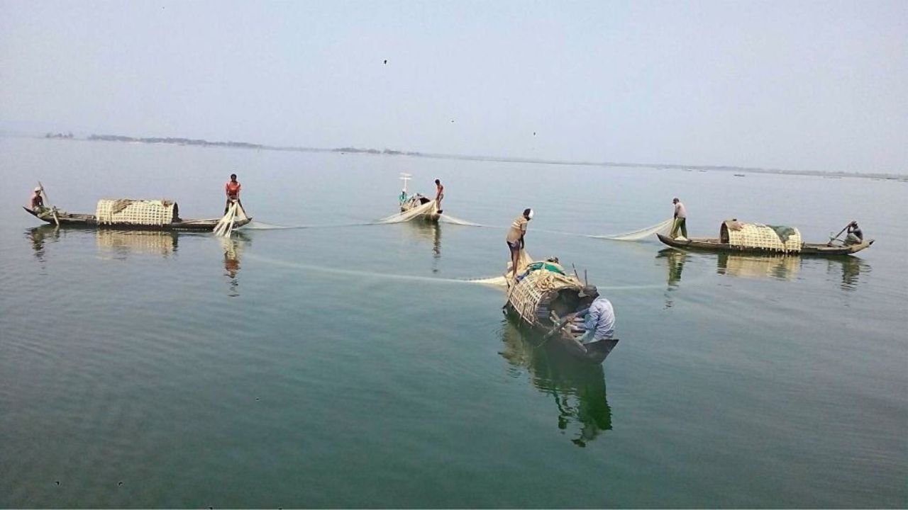 কাপ্তাই হ্রদে মাছ শিকারের নিষেধাজ্ঞা প্রত্যাহার, স্বস্তিতে জেলেরা