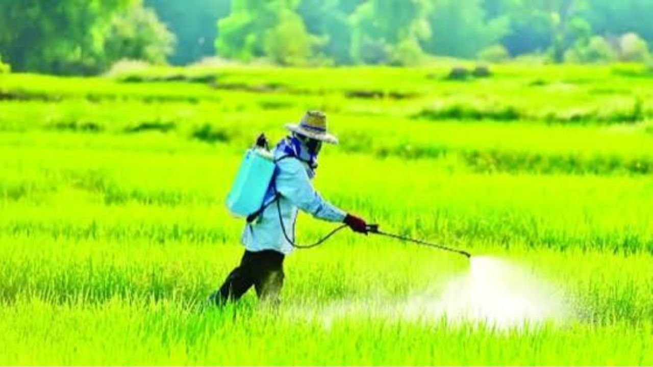 কৃষকের কীটনাশক নির্ভরতা বাড়ছে বিক্রেতার পরামর্শে, বাড়ছে স্বাস্থ্যঝুঁকি