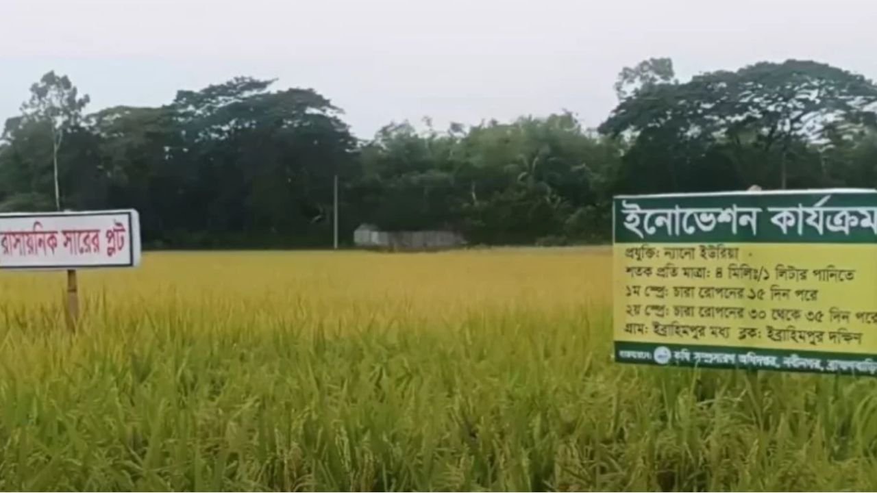 খরচ ও ভর্তুকি কমাতে ন্যানো সারের দিকে সরকারের নজর