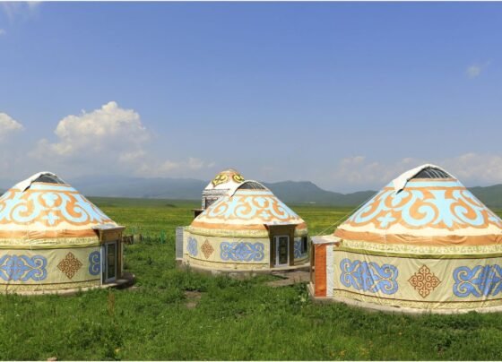 মঙ্গোলিয়া কাজের ভিসা