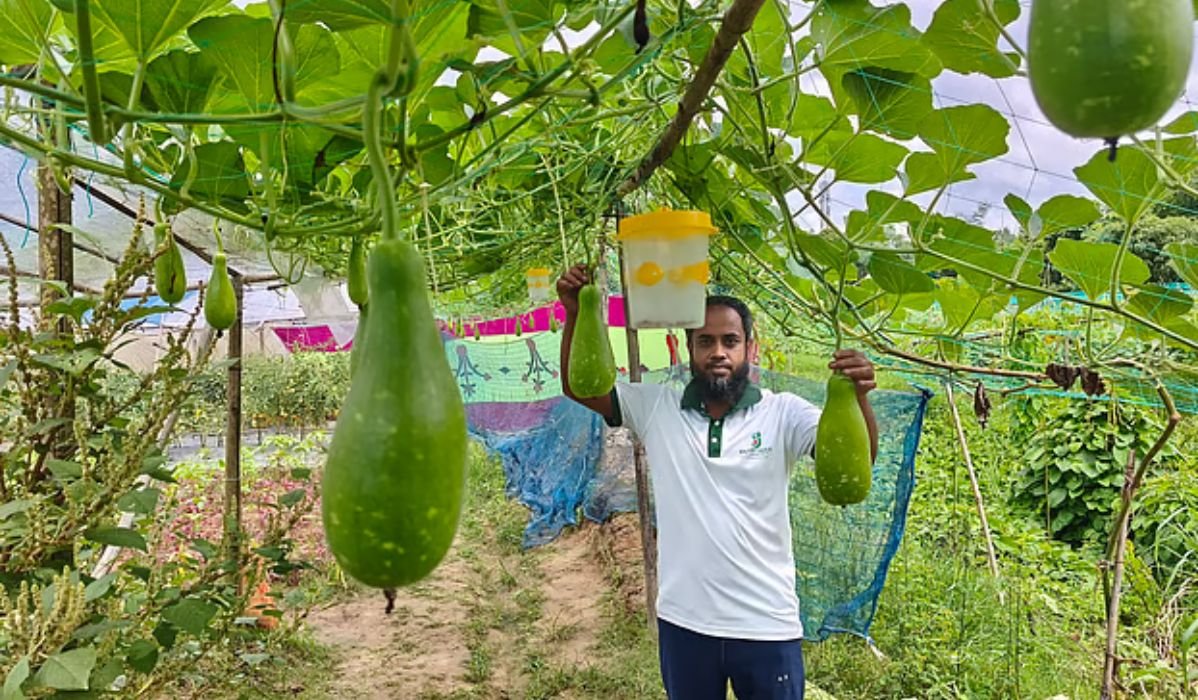 পতিত জমিতে সবজির বাগান, বাড়তি আয় মতিনের