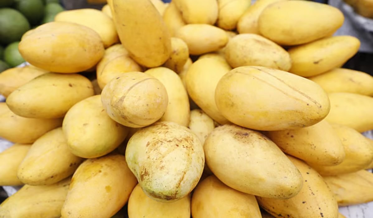 ফুটপাত থেকে অভিজাত দোকানে কাটিমন, বাড়ছে চাষ
