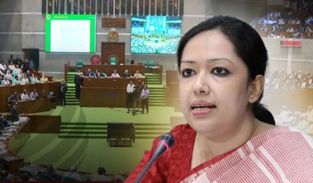 বিএনপি ক্ষমতায় এলে গ্যাস-বিদ্যুৎ সংকট হবে না, তা হতে পারে না: রুমিন ফারহানা