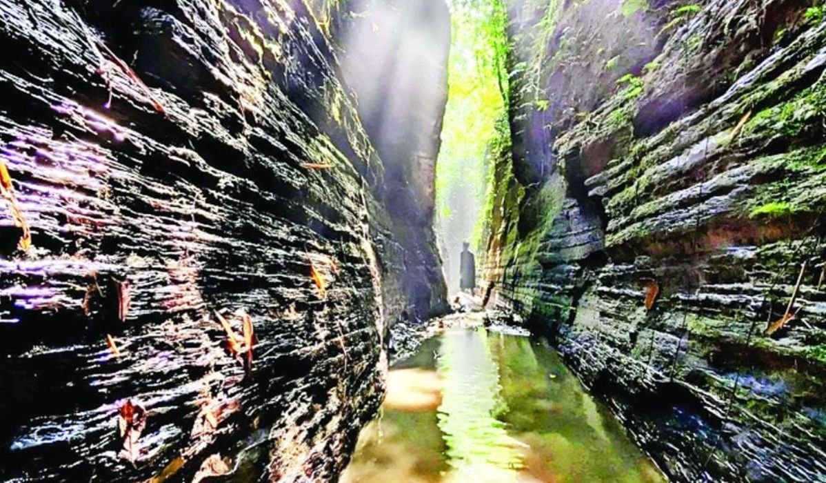 রহস্যঘেরা আলী সুড়ঙ্গ, অন্ধকার পেরোলেই আলো