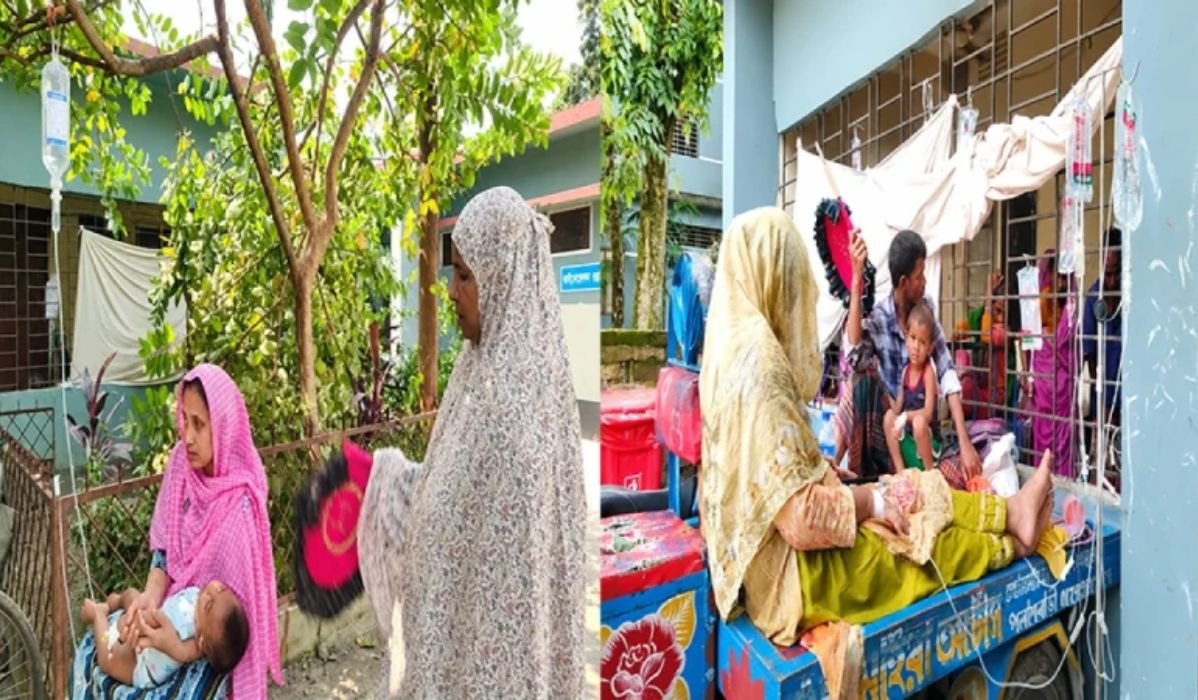 নীলফামারীতে গাছে স্যালাইন ঝুলিয়ে চিকিৎসা