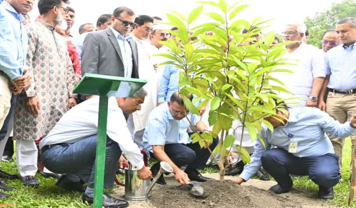 জিয়া উদ্যানে বৃক্ষরোপণ, ক্রিসেন্ট লেকে মাছ অবমুক্ত করলেন প্রধানমন্ত্রী