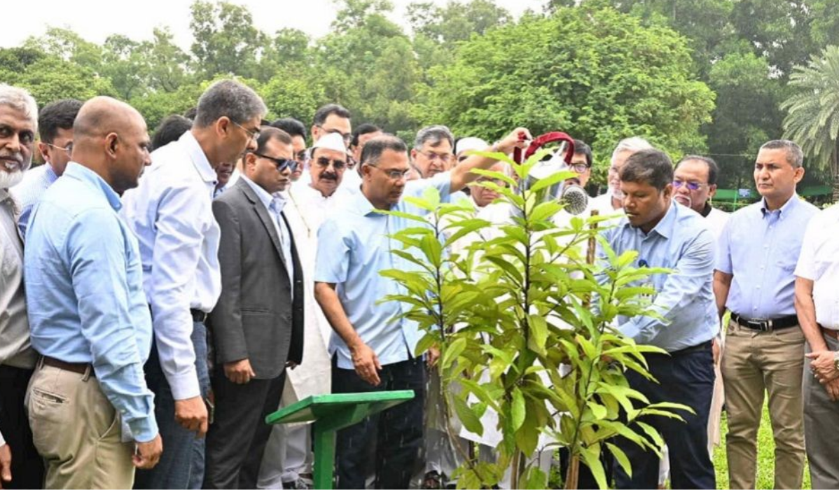 কঠিন পরিস্থিতি পেরিয়ে যেভাবে ঘুরে দাঁড়িয়েছে বিএনপি